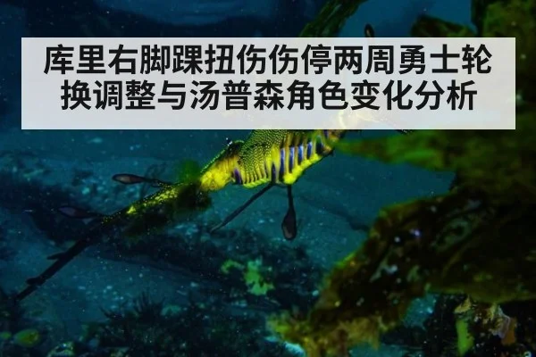 库里右脚踝扭伤伤停两周勇士轮换调整与汤普森角色变化分析
