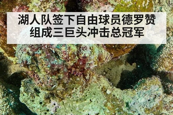 湖人队签下自由球员德罗赞组成三巨头冲击总冠军
