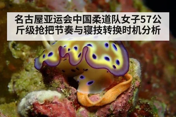名古屋亚运会中国柔道队女子57公斤级抢把节奏与寝技转换时机分析
